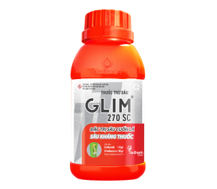TT-GLIM 270 SC