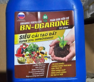 SIÊU CẢI TẠO ĐẤT