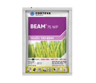 BEAM 75WP
